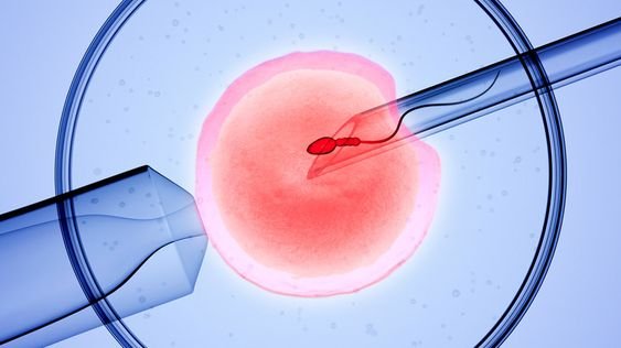 The Future Of Fertility: Emerging Trends And Research In IVF