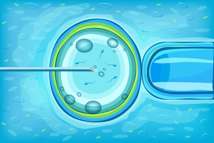 IVF Technology: Advancements Shaping The Future Of Fertility Treatment