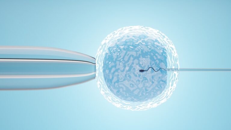 The IVF Process: Step-by-Step Guide To Assisted Reproductive Technology