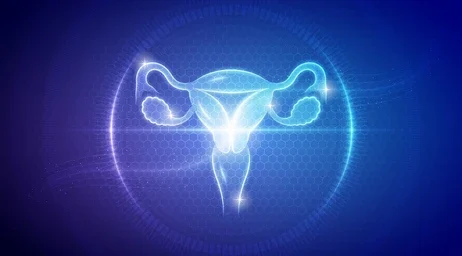 Navigating The World Of Gynecology: Women’s Health Essentials